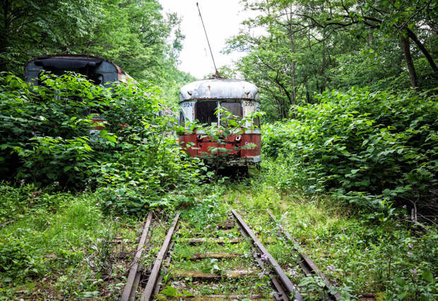 Abandoned Trolley Graveyard