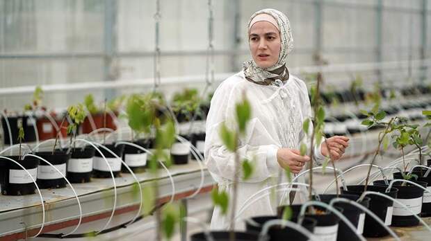 Чеченские ученые создают фермы для сокращения выбросов CO2