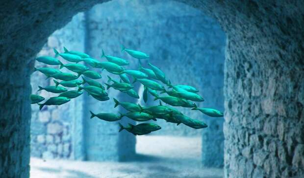 Владивосток полностью уйдёт в море? Учёные назвали примерную дату потопа