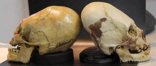 Они убивали драконов