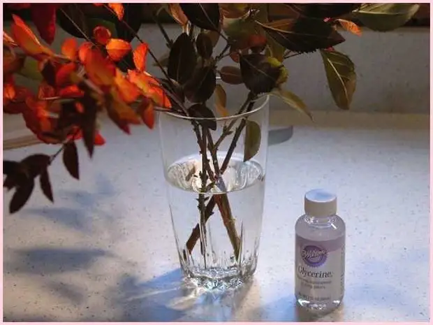 Консервированные цветы в глицерине: способ сохранения естественной красоты