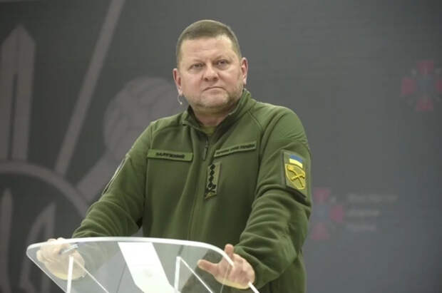 Олейник: Британия хочет сделать Залужного президентом или премьером Украины