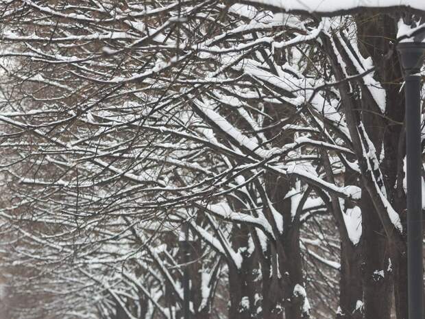 В Тюменской области ввиду сильных начали действовать пункты обогрева