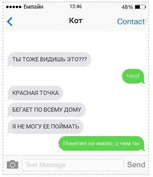 СМС ки от кота, прикольные
