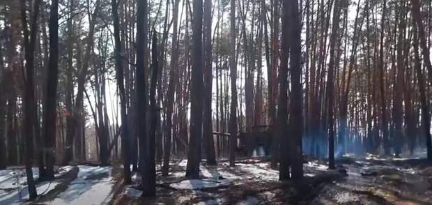 ВС РФ заняли новые территории Сумской области, срезая Бачевский выступ