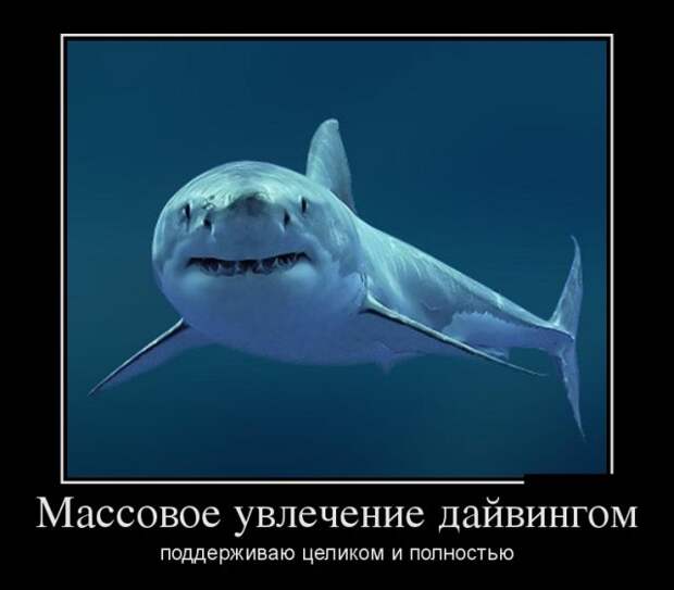 Забавные и позитивные демотиваторы для настроения (11 фото)