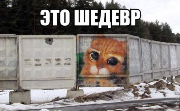 Свежие прикольные картинки (48 шт)