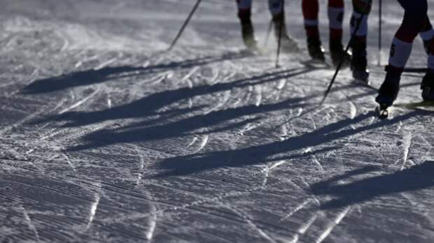 Кусургашева — о столкновении с собакой: хоть не медведь выбежал