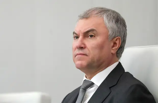 Володин предложил конфисковать активы бизнесменов из «недружественных стран»