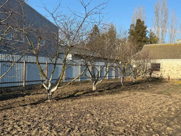 Секретное оружие дачника: сыпем на снег в марте — получаем плодородную землю уже в апреле