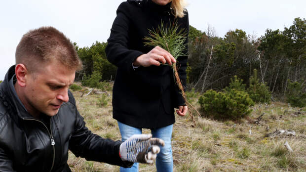 Стали известны причины задержания директора нацпарка «Куршская коса»