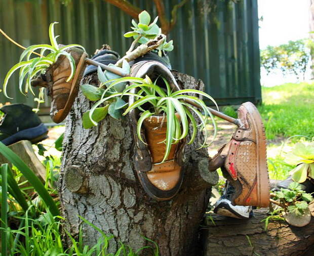 shoes-container-garden5-2.jpg