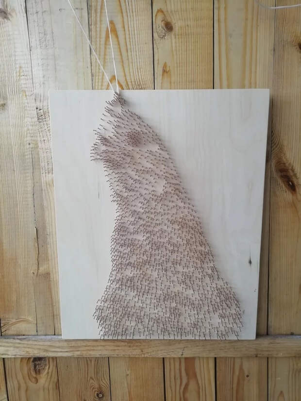 Курочка из ниток и гвоздей String Art, Курица, Рукоделие, Рукоделие с процессом, Длиннопост