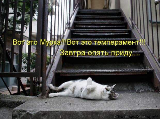 Мысли вслух :)