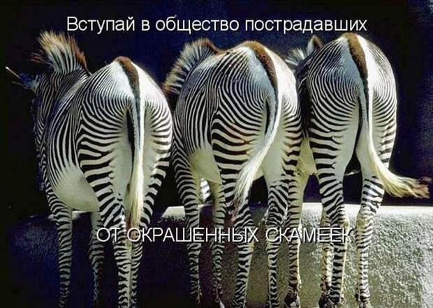 Мысли вслух :)