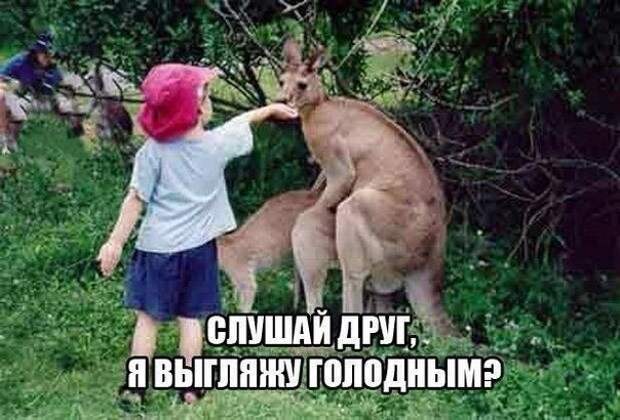 Смешные картинки с надписями прикол, юмор