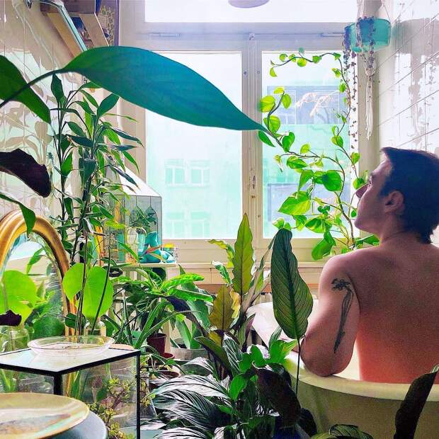 Популярный Instagram-аккаунт с полуголыми мужчинами и растениями