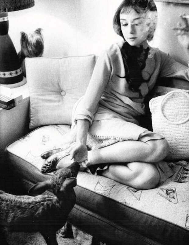 Неизвестная Одри: поразительные факты и редкие фото Одри Хепберн