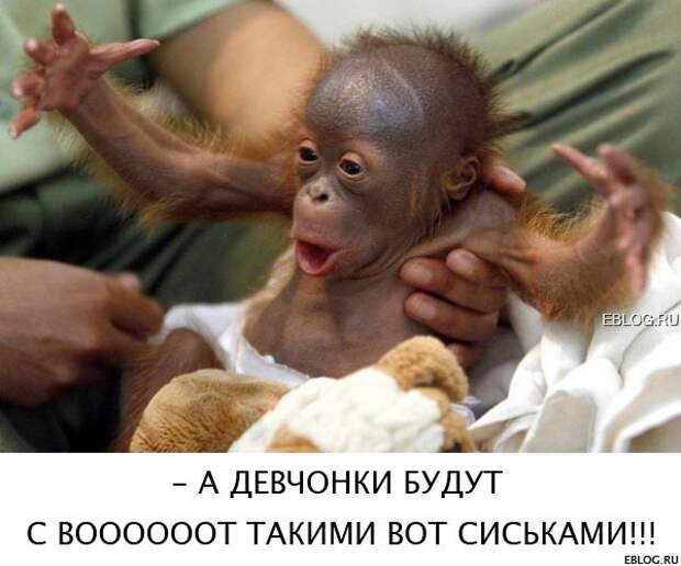 Пятничный позитив! Смотрим, заряжаемся на выходные! 20 прикольных картинок.