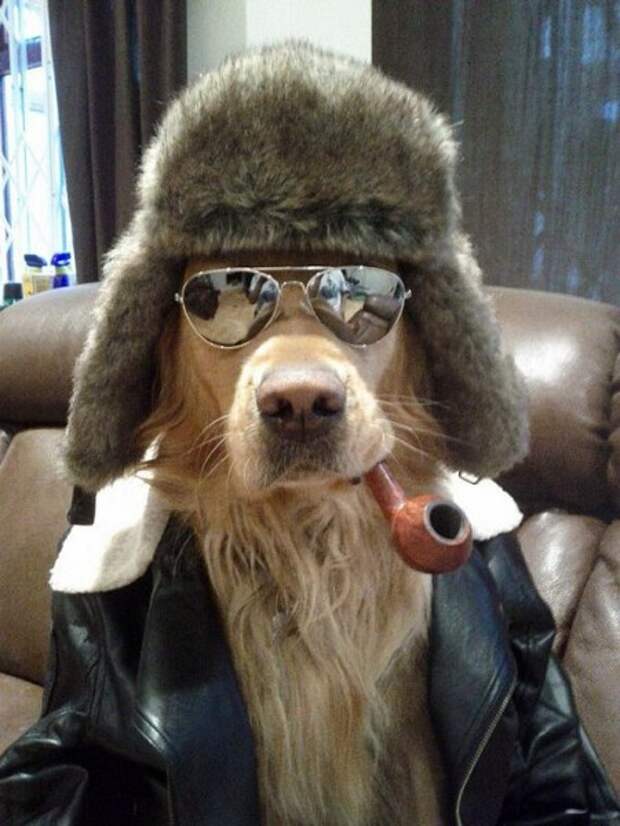 Давайте улыбаться вместе!