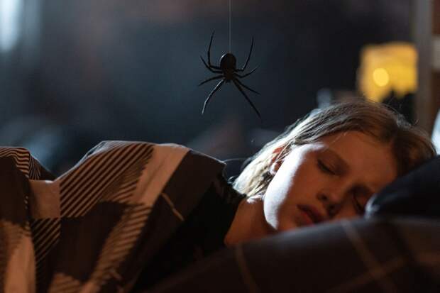 Пугающая дружба: девочка кормит паука в отрывке из хоррора «Черная вдова. Укус смерти»