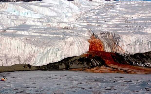 Кровавый водопад, Антарктика Кроваво-красная жидкость, хлещущая изо льдов Антарктики, представляет собой душераздирающее зрелище, но, к счастью, это ненастоящая кровь. Сначала ученые думали, что причиной этого явления стали водоросли, но оказалась, что это сама вода содержит оксид железа, который окрасил ее в ржаво-красный цвет.