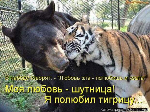 Демотиваторы и не только.