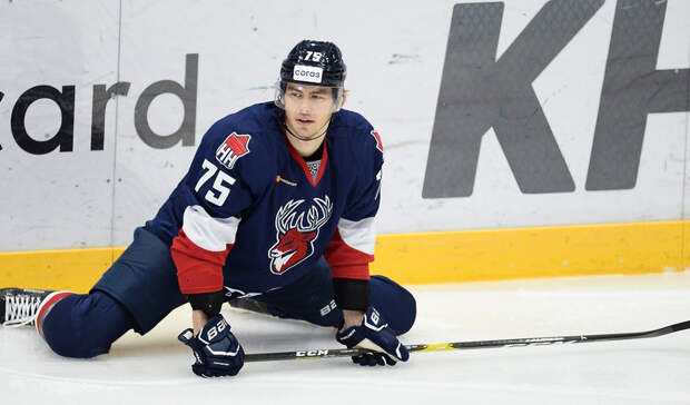 Никитин рассказал, кому можно ходить на матчи ХК «Торпедо» и БК «НН»