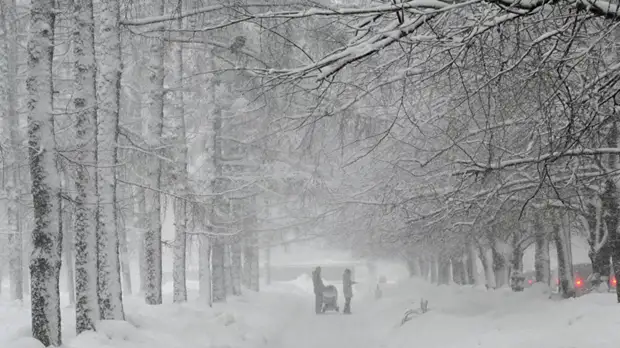 Температура в Подмосковье 22 декабря опускалась до -30 °C