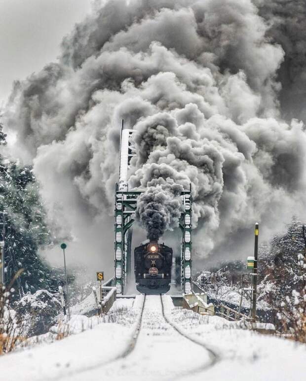 Фотоподборка