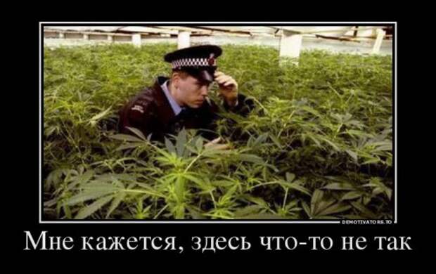 Демотиваторы-приколы (17 шт)
