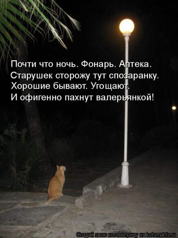 Забавные котоматрицы