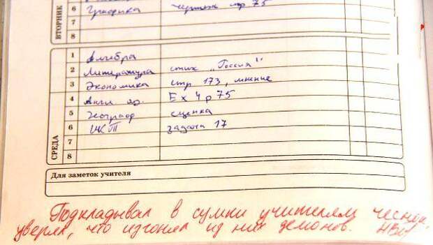 14 странных и веселых заметок учителей в школьных тетрадях и дневниках