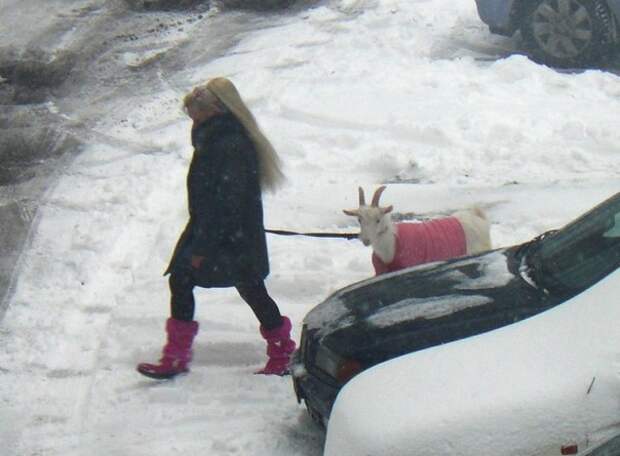 Почему так трудно ценить? Почему так трудно ценить?