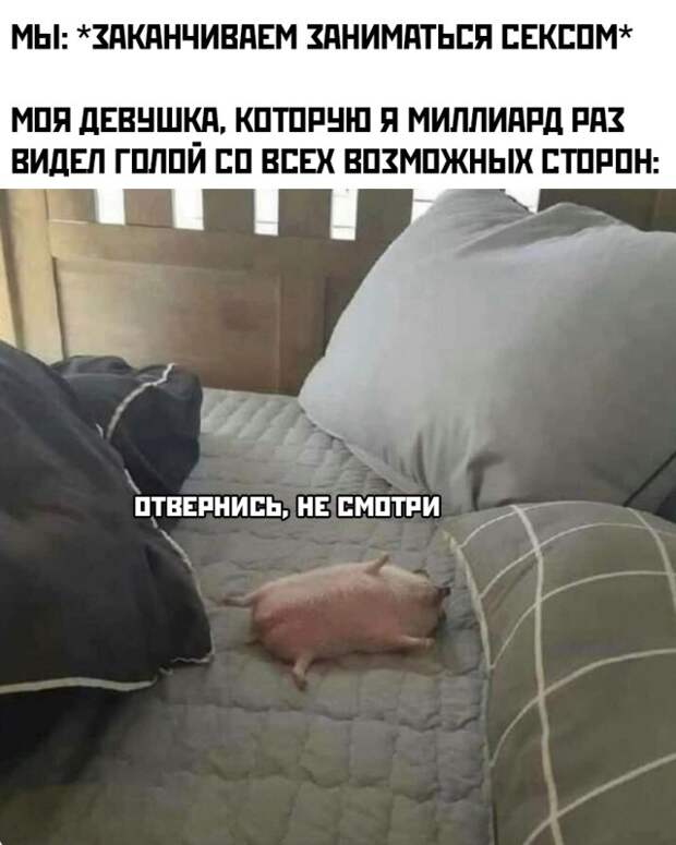 Смешные картинки 2 ноября 2021 года