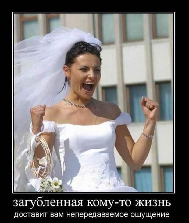 Демотиваторы (30 фото)
