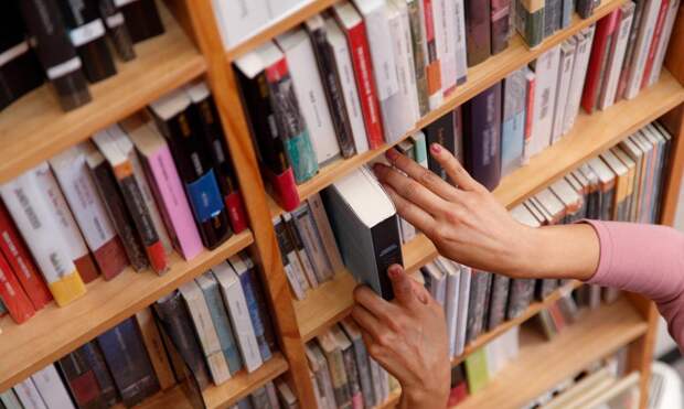 Тест на образное мышление: сможете вычислить, сколько съел прожорливый «книжный червь»?