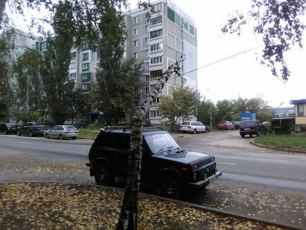 Фотоподборка