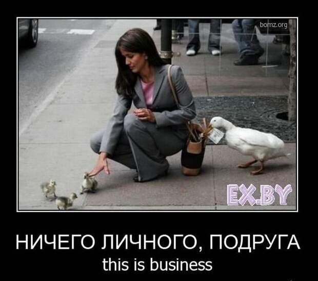 смешные фото