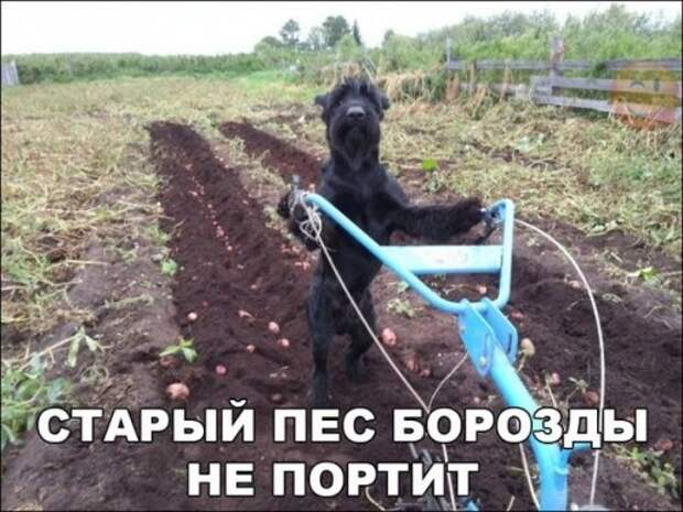 Новые фотомемы для хорошего настроения (27 шт)