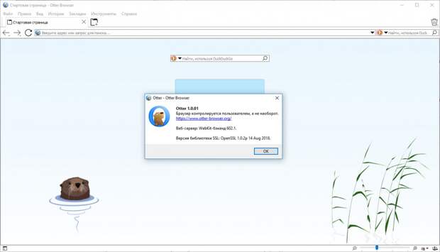 Otter browser. Otter браузер. Дополнения браузера Otter. Логотип браузера Otter browser. Otter browser. Браузер как выглядит.