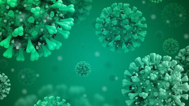 Британские ученые из Йельской школы разработали детектор коронавируса