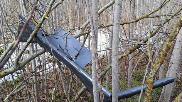 "Обвинили Россию". На Западе возмутились произошедшему в Прибалтике