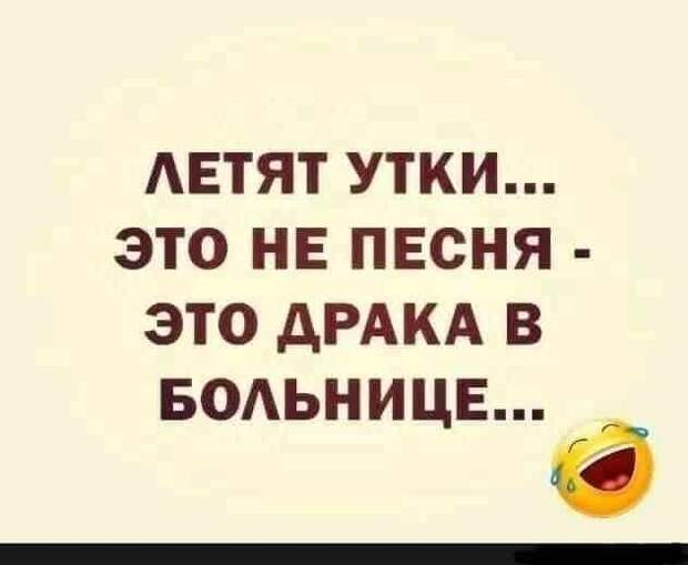e733cccfe8a6118fa1f1e2c90555a65d8689ff85cdf7219c3def483b95132ba3-1.jpg