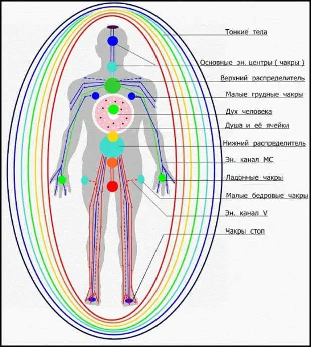 Тонкие тела. Энергетические центры человека чакры и тонкие тела. Энергетические центры человека тонкие тела и физическое тело. Чакры на теле человека схема. Схема тонких тел человека.