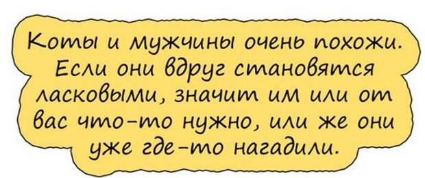 Спасибо, я не пью. Один раз попробовал, мне не понравилось...