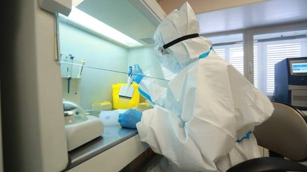 "Выдохся". Попов рассказал, можно ли считать эпидемию ковида на Алтае законченной