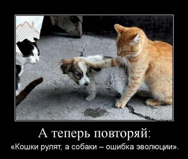 Демотиваторы. Подборка chert-poberi-chert-poberi-31500425032020-14 картинка chert-poberi-31500425032020-14