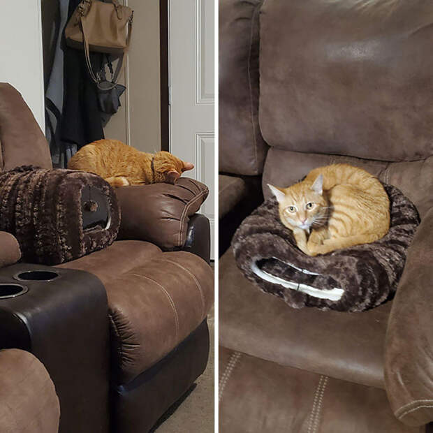 Удобные кошачьи лежаки и кошачья логика