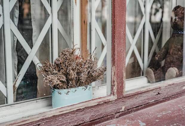 Фестиваль цветов на тему «Мир детства».прошел в Череповце